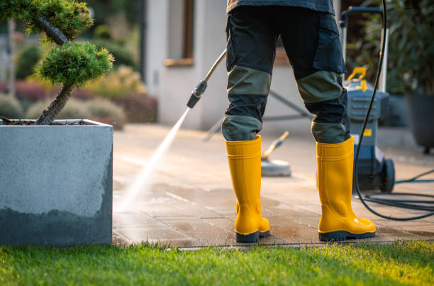 Best Roof Power Washing Services  in Kingston, WA